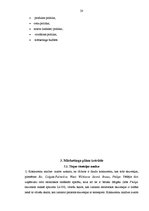 Referāts 'Skuvekļa "Gillette Phantom" mārketinga plāna izstrāde', 20.