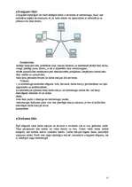 Referāts 'Datoru tīkli, to veidi un pielietošana', 15.