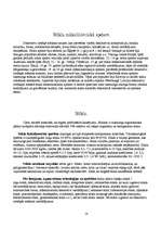 Referāts 'Stikls', 17.