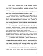 Referāts 'Termins "diskurss" valodas kultūras aspektā', 5.