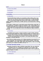 Referāts 'Mūsdienu automašīnas dizains', 1.