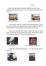 Referāts 'Mūsdienu automašīnas dizains', 6.