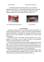 Referāts 'Mūsdienu automašīnas dizains', 7.