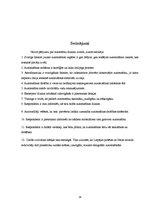 Referāts 'Mūsdienu automašīnas dizains', 24.