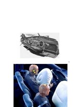 Referāts 'Mūsdienu automašīnas dizains', 32.