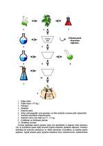 Referāts 'Heroīns un kokaīns', 8.