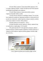 Diplomdarbs 'Jauno pakalpojumu ieviešanas projekts', 38.