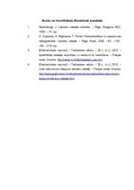 Referāts 'Kļūdas Ziemassvētku apsveikuma kartītēs', 13.