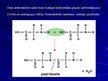 Prezentācija 'Olbaltumvielu uzbūve', 7.