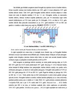 Referāts '2007.-2012.gada pasaules finanšu krīzes ietekme Portugālē', 7.