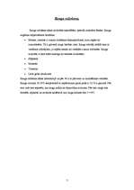 Referāts 'Raugs', 6.