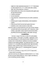 Referāts 'Raugs', 12.