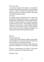 Referāts 'Raugs', 16.