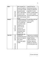 Diplomdarbs 'Uzņēmuma "X" attīstības stratēģijas alternatīvas un izvēlētās stratēģijas vadīša', 38.