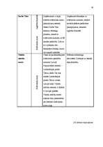 Diplomdarbs 'Uzņēmuma "X" attīstības stratēģijas alternatīvas un izvēlētās stratēģijas vadīša', 39.
