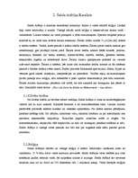 Referāts 'Starpkultūru saskarsme', 4.