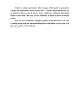 Referāts 'Starpkultūru saskarsme', 7.