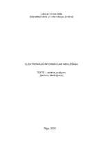 Konspekts 'Elektroniskās informācijas meklēšanas terminu skaidrojums', 1.
