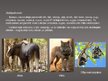 Prezentācija 'Ķemeru nacionālais parks', 15.