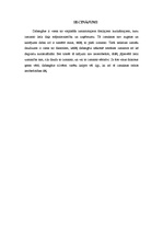 Referāts 'Dabasgāze', 5.