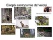 Prezentācija 'Eiropas jauktie koku meži', 3.