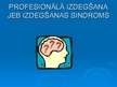 Prezentācija 'Profesionālā izdegšana', 5.