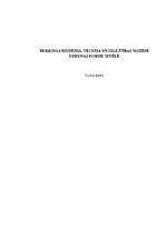 Referāts 'Personas dzimuma, vecuma un izglītības nozīme uzrunas formu izvēlē', 1.