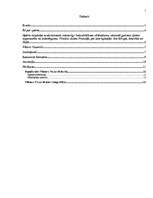 Referāts 'Viktors Vazareli un opārts', 2.