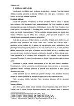 Referāts 'Vēlēšanu veidi un to raksturojums', 11.