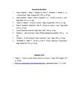 Referāts 'Vēlēšanu veidi un to raksturojums', 15.