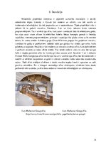 Referāts 'Dizaina procesu kritiska analīze interjera dizaina nozarē', 14.