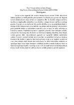 Referāts 'Dizaina procesu kritiska analīze interjera dizaina nozarē', 25.