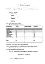 Biznesa plāns 'Biznesa plāns uzņēmumam', 10.