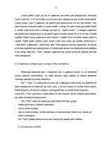 Biznesa plāns 'Biznesa plāns uzņēmumam', 11.