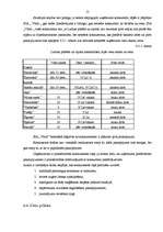 Biznesa plāns 'Biznesa plāns uzņēmumam', 12.