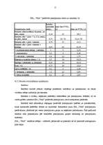 Biznesa plāns 'Biznesa plāns uzņēmumam', 14.