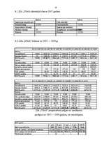 Biznesa plāns 'Biznesa plāns uzņēmumam', 18.