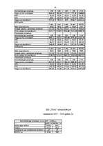 Biznesa plāns 'Biznesa plāns uzņēmumam', 19.