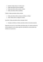 Konspekts 'Desmit soļi Zināšanu pārvaldības sistēmas ieviešanai', 7.