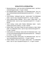 Referāts 'Partizānu mārketings', 8.