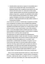 Referāts 'Izglītība', 10.