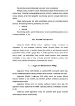 Diplomdarbs 'SIA "X" perspektīva attīstības analīze mūsdienu ekonomikas apstākļos', 20.