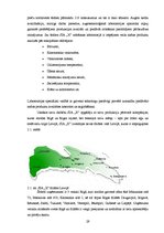 Diplomdarbs 'SIA "X" perspektīva attīstības analīze mūsdienu ekonomikas apstākļos', 29.