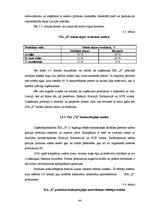Diplomdarbs 'SIA "X" perspektīva attīstības analīze mūsdienu ekonomikas apstākļos', 44.
