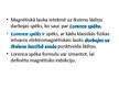 Prezentācija 'Magnētiskais lauks un elektriskā strāva', 6.