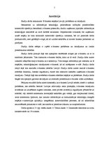 Referāts 'E-biznesa iespējas Latvijā, problēmas un risinājumi', 2.