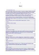 Referāts 'E-biznesa iespējas Latvijā, problēmas un risinājumi', 3.