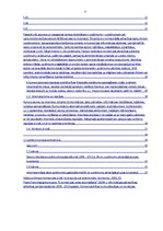 Referāts 'E-biznesa iespējas Latvijā, problēmas un risinājumi', 5.