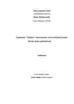 Referāts 'Uzņēmuma "Naidzels" klientu piesaistīšana ar reklāmas palīdzību', 1.