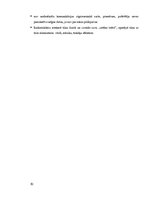 Referāts 'Uzņēmuma "Naidzels" klientu piesaistīšana ar reklāmas palīdzību', 10.